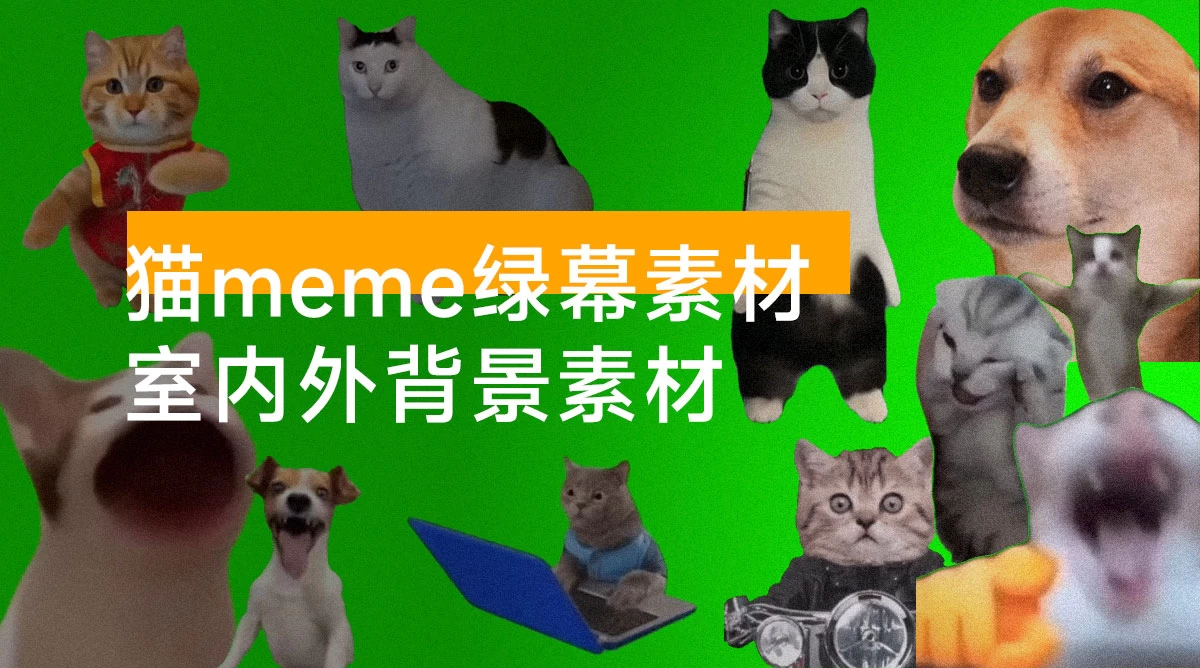 猫 meme 绿幕素材整合 + 室内外背景素材（共 715个，3.8 GB ）